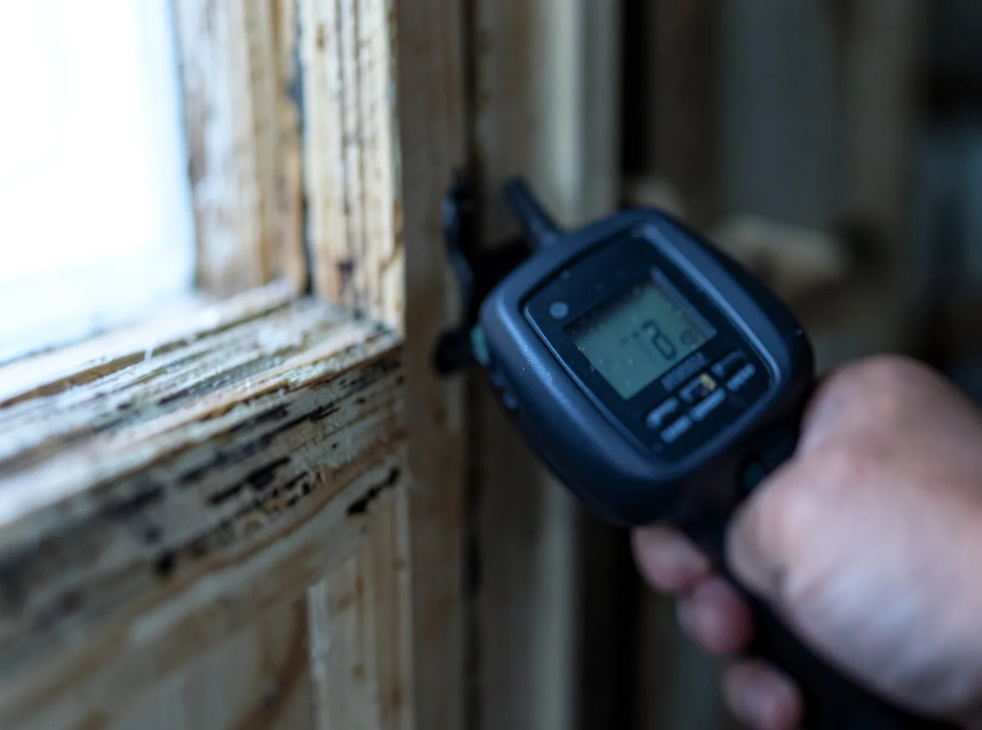 Moisture Inspection And Documentation in Barnhart, MO